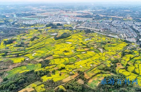 仁寿景点介绍(仁寿周边景点)