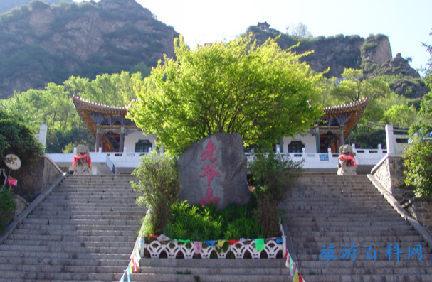 循化的旅游景点推荐(循化有什么景点)