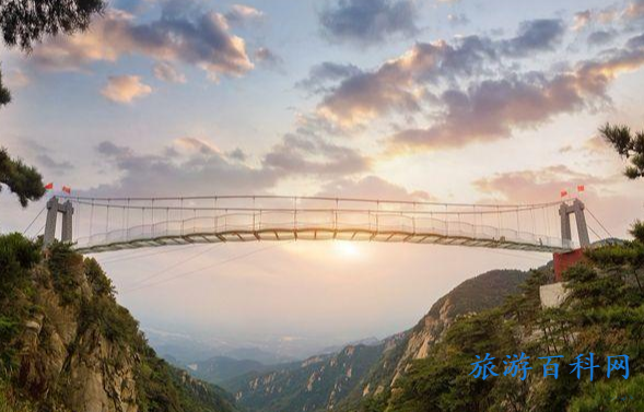 山东旅游景点的玻璃桥(山东旅游景点的玻璃桥叫什么)