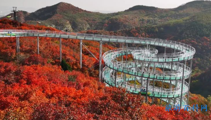 山东旅游景点的玻璃桥(山东旅游景点的玻璃桥叫什么)