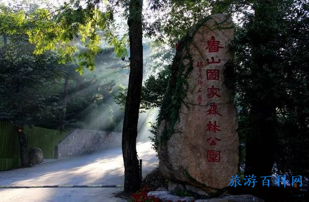 淄博一日游必去景点(淄博周边景点一日游)