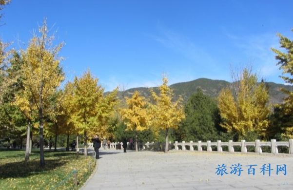 北京年卡景点目录(北京公园年票都有哪些景点)