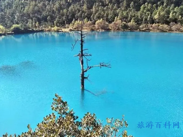 云南玉龙雪山旅游攻略，人手必备！