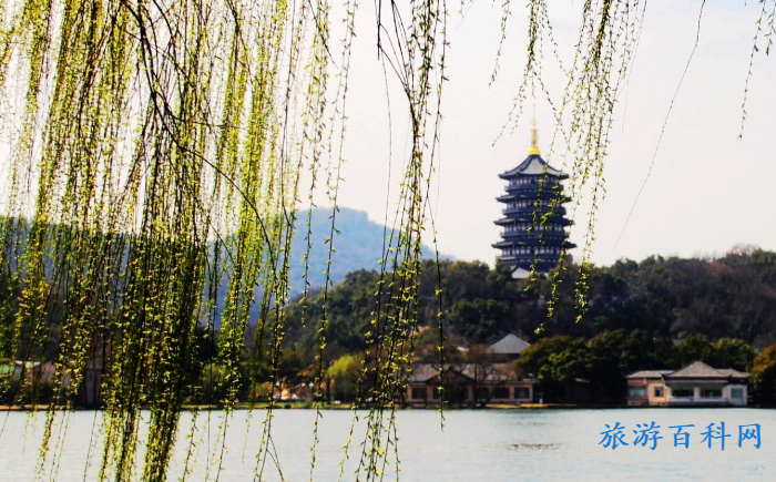 富顺有那些好耍的地方？