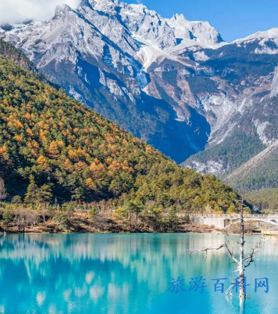 丽江古城到玉龙雪山怎么走，4种方法供你选择
