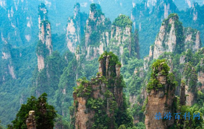 张家界景点门票购买(张家界景点旅游门票)