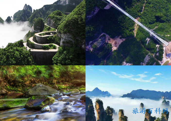 张家界景点门票购买(张家界景点旅游门票)