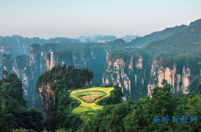 张家界景点门票购买(张家界景点旅游门票)
