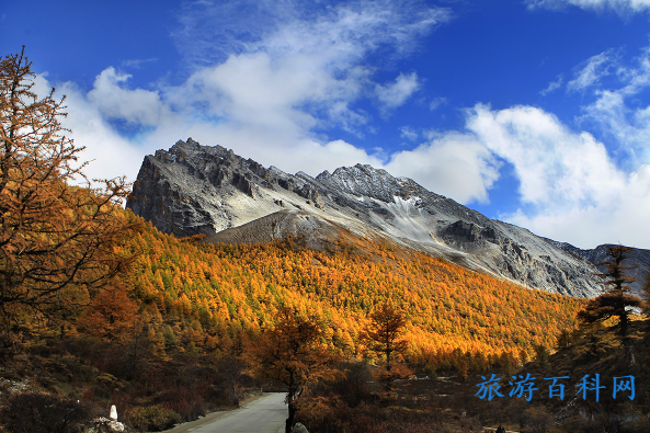 稻城亚丁游记攻略，景区交通必看交通方式