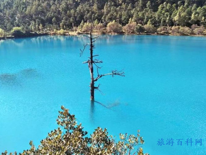 人手一份的玉龙雪山攻略，你收藏了吗？