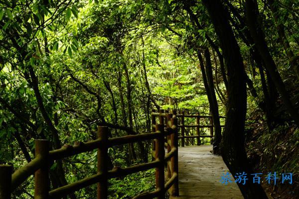 安吉灵溪山景区