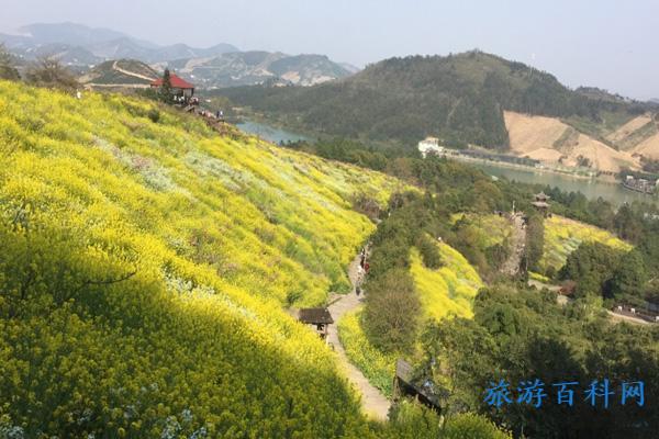 城山沟